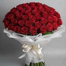 Букет 101 Красная роза Блэк Мэджик #REPLACE_PRED# Кусе