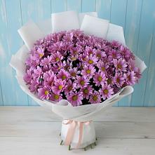 Букет цветов из:  Хризантемы в Кусе