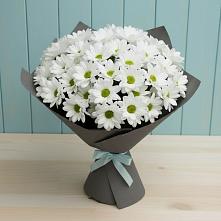 Букет цветов из:  Хризантемы #REPLACE_PRED# Кусе