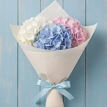 Букет цветов из:  Гортензия в Кусе