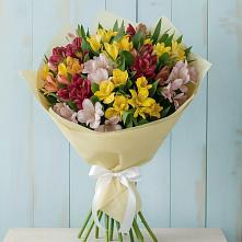 Букет цветов из:  Альстромерии в Кусе