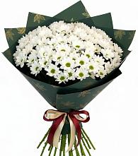 Букет цветов из:  Хризантемы #REPLACE_PRED# Кусе