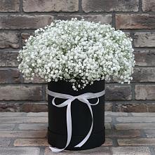 Цветочная композиция из Гипсофила в шляпной коробке #REPLACE_PRED# Кусе