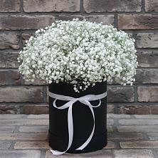 Цветочная композиция из Гипсофила в шляпной коробке в Кусе
