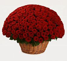 Премиум букет из: Розы #REPLACE_PRED# Кусе